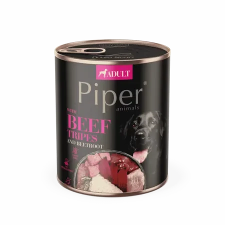 Piper Adult Dog