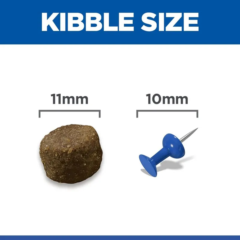 604335_digital_key_kibble_above_the_fold_ongoing_hills_english_eu_6