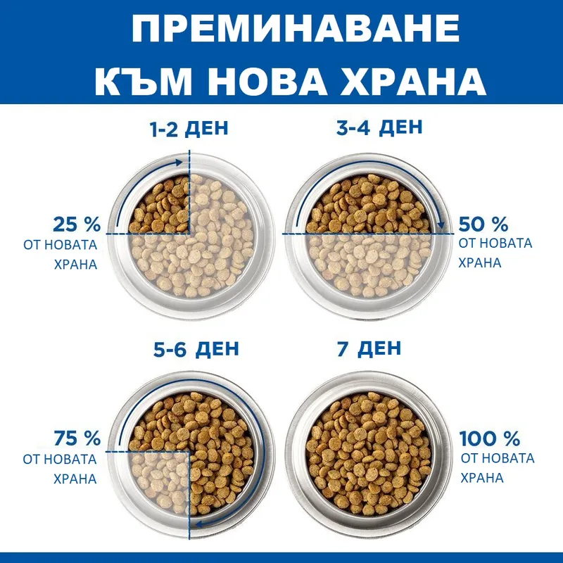 609599_feeding_transition_hills_prescription_diet__5