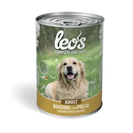 Leo’s Adult